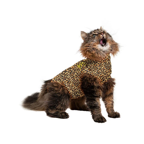 Medical Pet Shirt Katze Leopard-Muster 3 Medical Pet Shirt Katze Leopard-Muster