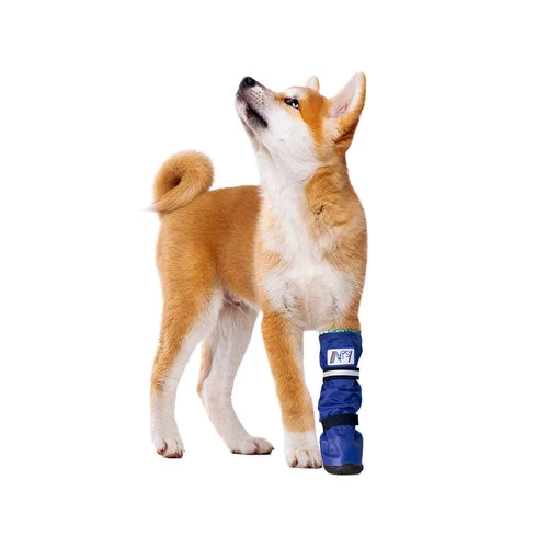 Medical Pet Shirt Boot 3 Medical Pet Shirt Boot