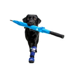 Medical Pet Shirt Boot 13 Medical Pet Shirt Boot -Haustierprodukte medical pets boot 167482 0500 none