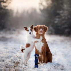 Medical Pet Shirt Boot 18 Medical Pet Shirt Boot -Haustierprodukte medical pets boot 167509 0500 none