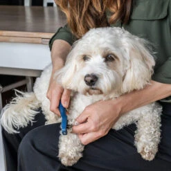 Mikki Doodle De-Matter 9 Mikki Doodle De-Matter -Haustierprodukte mikki doodle de matter 194483 0500 none