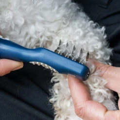 Mikki Doodle De-Matter 7 Mikki Doodle De-Matter -Haustierprodukte mikki doodle de matter 194486 0500 none