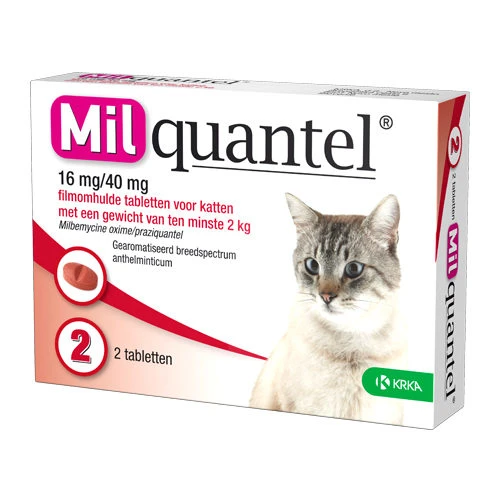 Milquantel Katze 6 Milquantel Katze – Bild 4