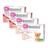 Milquantel Katze -Haustierprodukte milquantel kat 112613 0500 none