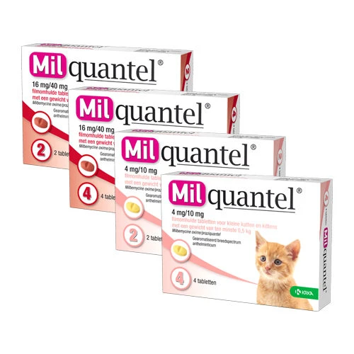 Milquantel Katze 3 Milquantel Katze