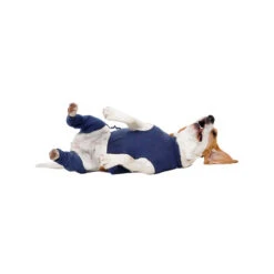 MPS-HLS Hinterbeinschutz 7 MPS-HLS Hinterbeinschutz -Haustierprodukte mps hls achterpootmouwtjes 167440 0500 none