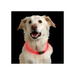 Nite Ize NiteHowl LED Safety Necklace 8 Nite Ize NiteHowl LED Safety Necklace -Haustierprodukte nite ize nitehowl led safety necklace 89526 0500 none