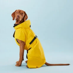 PAIKKA Visibility Raincoat Lite Yellow 10 PAIKKA Visibility Raincoat Lite Yellow -Haustierprodukte paikka visibility raincoat lite yellow 217726 0500 none