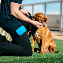 Popware Pooch Pouch Treatbag 9 Popware Pooch Pouch Treatbag -Haustierprodukte popware pooch pouch treatbag 164698 0500 none