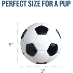 Planet Dog Orbee-Tuff Soccer Ball 10 Planet Dog Orbee-Tuff Soccer Ball -Haustierprodukte prod 14590 203612 0500 none