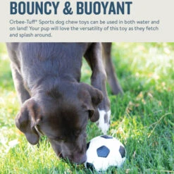 Planet Dog Orbee-Tuff Soccer Ball 13 Planet Dog Orbee-Tuff Soccer Ball -Haustierprodukte prod 14590 203615 0500 none