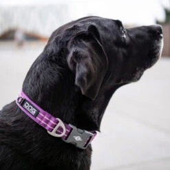 DOG Copenhagen Urban Style Halsband 22 DOG Copenhagen Urban Style Halsband -Haustierprodukte prod 15937 220286 0500 none