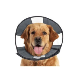 ZenPet Zen Collar 10 ZenPet Zen Collar -Haustierprodukte prod 5332 89025 0500 none