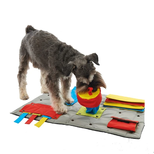 Buster Activity Mat 3 Buster Activity Mat