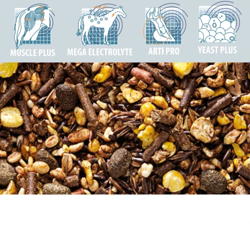 Cavalor Superforce 4 Cavalor Superforce – Bild 2