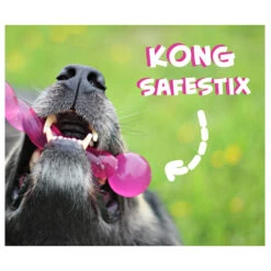 KONG Safestix -Haustierprodukte product kong safestix none 4 1458633926 66969