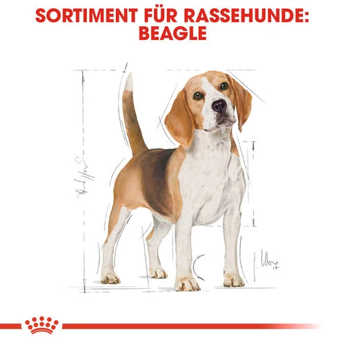 Royal Canin Beagle Adult - Hundefutter 6 Royal Canin Beagle Adult - Hundefutter – Bild 4