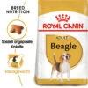 Royal Canin Beagle Adult - Hundefutter 1 Royal Canin Beagle Adult - Hundefutter -Haustierprodukte royal canin beagle adult hondenvoer 137341 0500 none