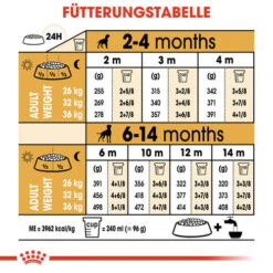 Royal Canin Boxer Puppy - Hundefutter -Haustierprodukte royal canin boxer puppy hondenvoer 137500 0500 none