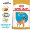 Royal Canin Boxer Puppy - Hundefutter 1 Royal Canin Boxer Puppy - Hundefutter -Haustierprodukte royal canin boxer puppy hondenvoer 140465 0500 none