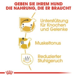 Royal Canin Dachshund Adult - Hundefutter 10 Royal Canin Dachshund Adult - Hundefutter -Haustierprodukte royal canin dachshund adult hondenvoer 138277 0500 none