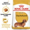 Royal Canin Dachshund Adult - Hundefutter 2 Royal Canin Dachshund Adult - Hundefutter -Haustierprodukte royal canin dachshund adult hondenvoer 138313 0500 none