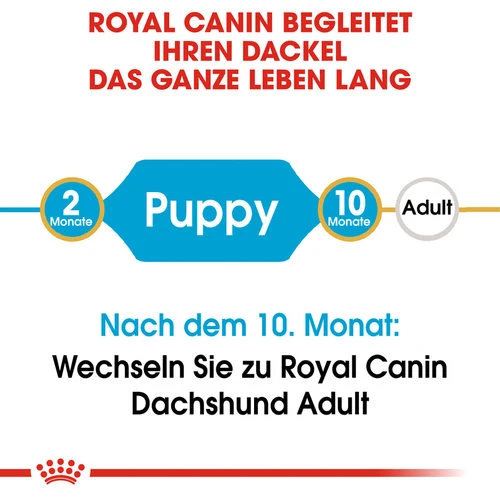 Royal Canin Dachshund Puppy - Hundefutter 7 Royal Canin Dachshund Puppy - Hundefutter – Bild 5