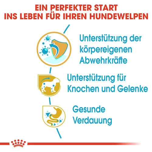 Royal Canin Dachshund Puppy - Hundefutter 4 Royal Canin Dachshund Puppy - Hundefutter – Bild 2