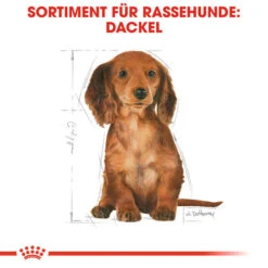 Royal Canin Dachshund Puppy - Hundefutter 13 Royal Canin Dachshund Puppy - Hundefutter -Haustierprodukte royal canin dachshund puppy hondenvoer 138346 0500 none