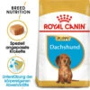Royal Canin Dachshund Puppy - Hundefutter 2 Royal Canin Dachshund Puppy - Hundefutter -Haustierprodukte royal canin dachshund puppy hondenvoer 140516 0500 none