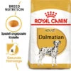 Royal Canin Dalmatian Adult - Hundefutter 1 Royal Canin Dalmatian Adult - Hundefutter -Haustierprodukte royal canin dalmatian adult hondenvoer 138490 0500 none