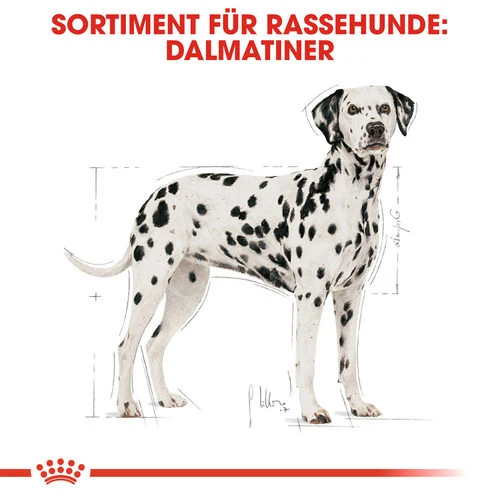 Royal Canin Dalmatian Adult - Hundefutter 6 Royal Canin Dalmatian Adult - Hundefutter – Bild 4