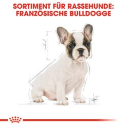 Royal Canin French Bulldog Puppy - Hundefutter -Haustierprodukte royal canin french bulldog puppy hondenvoer 138718 0500 none