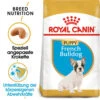 Royal Canin French Bulldog Puppy - Hundefutter 2 Royal Canin French Bulldog Puppy - Hundefutter -Haustierprodukte royal canin french bulldog puppy hondenvoer 140549 0500 none