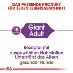 Royal Canin Giant Adult - Hundefutter 12 Royal Canin Giant Adult - Hundefutter -Haustierprodukte royal canin giant adult hondenvoer 128384 0500 none