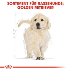 Royal Canin Golden Retriever Puppy - Hundefutter -Haustierprodukte royal canin golden retriever puppy hondenvoer 138958 0500 none