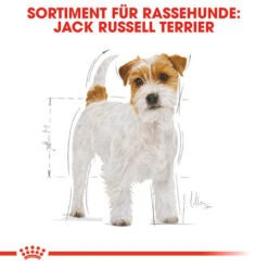 Royal Canin Jack Russell Terrier Adult - Hundefutter 12 Royal Canin Jack Russell Terrier Adult - Hundefutter -Haustierprodukte royal canin jack russell terrier adult hondenvoer 139060 0500 none