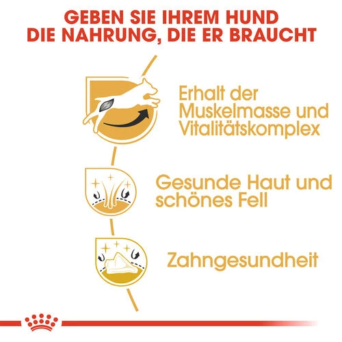 Royal Canin Jack Russell Terrier Adult - Hundefutter 4 Royal Canin Jack Russell Terrier Adult - Hundefutter – Bild 2