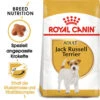 Royal Canin Jack Russell Terrier Adult - Hundefutter 1 Royal Canin Jack Russell Terrier Adult - Hundefutter -Haustierprodukte royal canin jack russell terrier adult hondenvoer 139117 0500 none