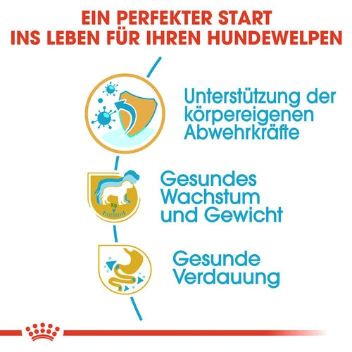 Royal Canin Labrador Retriever Puppy - Hundefutter 4 Royal Canin Labrador Retriever Puppy - Hundefutter – Bild 2