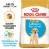 Royal Canin Labrador Retriever Puppy - Hundefutter 2 Royal Canin Labrador Retriever Puppy - Hundefutter -Haustierprodukte royal canin labrador retriever puppy hondenvoer 140618 0500 none