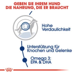 Royal Canin Maxi Adult - Hundefutter 12 Royal Canin Maxi Adult - Hundefutter -Haustierprodukte royal canin maxi adult hondenvoer 128432 0500 none