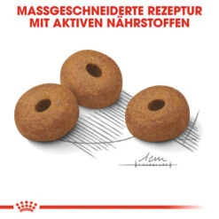 Royal Canin Maxi Light Weight Care - Hundefutter 13 Royal Canin Maxi Light Weight Care - Hundefutter -Haustierprodukte royal canin maxi light weight care hondenvoer 132617 0500 none