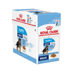 Royal Canin Maxi Puppy Wet - Welpenfutter 12 Royal Canin Maxi Puppy Wet - Welpenfutter -Haustierprodukte royal canin maxi puppy wet 122105 0500 none