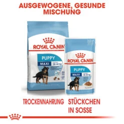 Royal Canin Maxi Puppy Wet - Welpenfutter 15 Royal Canin Maxi Puppy Wet - Welpenfutter -Haustierprodukte royal canin maxi puppy wet hondenvoer 129161 0500 none