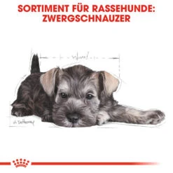 Royal Canin Mini Schnauzer Puppy - Hundefutter -Haustierprodukte royal canin mini schnauzer puppy hondenvoer 140182 0500 none