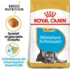 Royal Canin Mini Schnauzer Puppy - Hundefutter 1 Royal Canin Mini Schnauzer Puppy - Hundefutter -Haustierprodukte royal canin mini schnauzer puppy hondenvoer 140197 0500 none