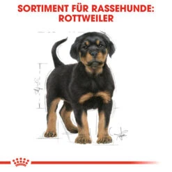 Royal Canin Rottweiler Puppy - Hundefutter 13 Royal Canin Rottweiler Puppy - Hundefutter -Haustierprodukte royal canin rottweiler puppy hondenvoer 140029 0500 none