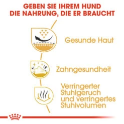 Royal Canin Shih Tzu Adult - Hundefutter 12 Royal Canin Shih Tzu Adult - Hundefutter -Haustierprodukte royal canin shih tzu adult hondenvoer 140336 0500 none