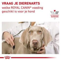 Royal Canin Urinary S/O Hund -Haustierprodukte royal canin urinary so hond 153688 0500 none